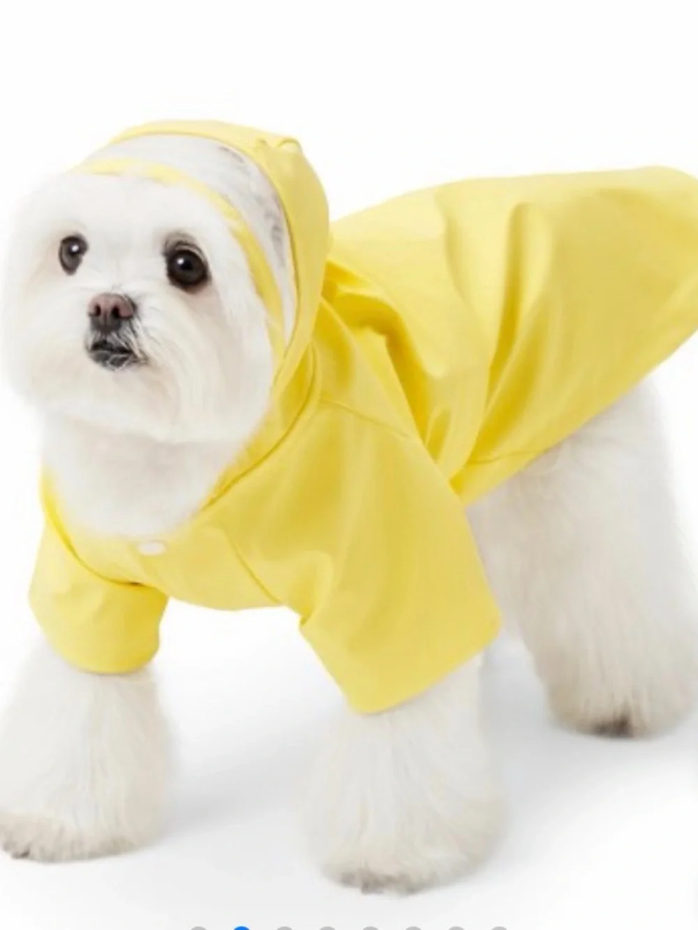 Bright Yellow Hooded Dog Raincoat